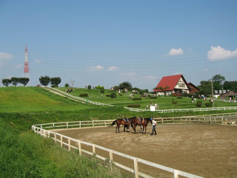 愛知牧場 / 名古屋市子ども会活動アシストバンク